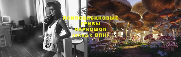 мдпв Магадан
