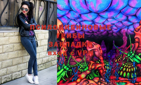 apvp Магас
