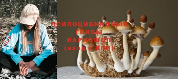 apvp Магас