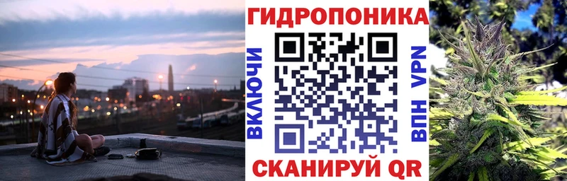 закладка  Холм  Каннабис марихуана 